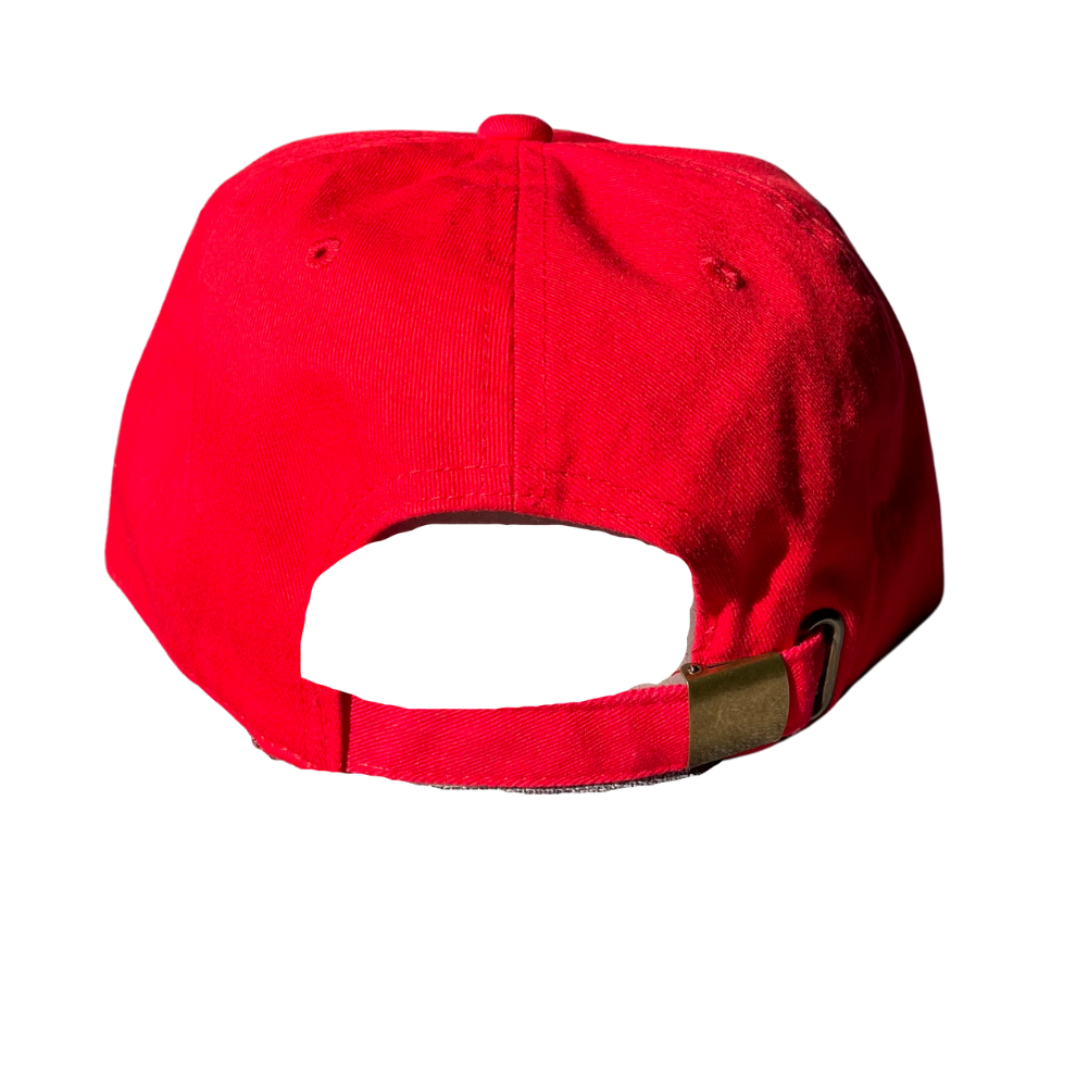 Red Painters Hat - DUMBFRESHCO