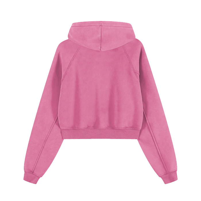 Washed Cropped Hoodie